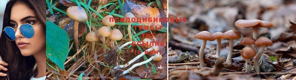 крисы Белоозёрский