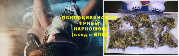 кокаин Белокуриха