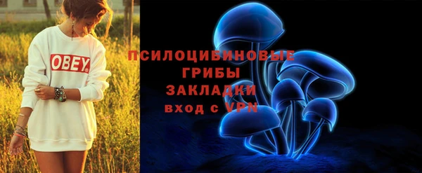 кокаин Белокуриха