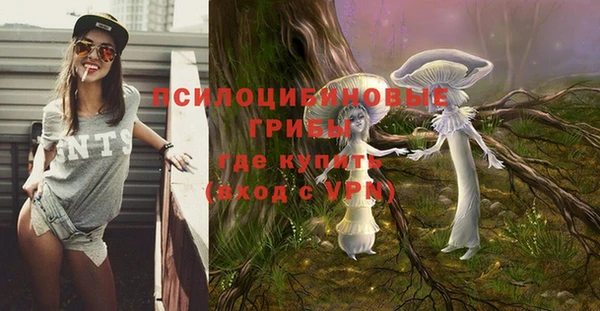 бошки Беломорск