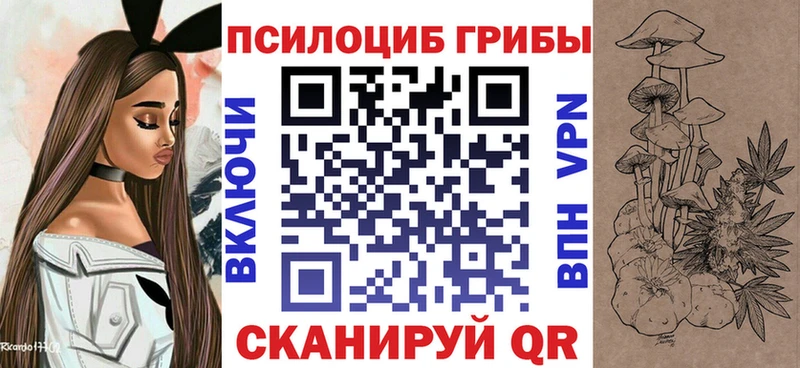 блэк спрут сайт  Няндома  Галлюциногенные грибы Magic Shrooms 